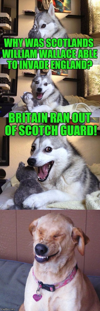 sorry scotland... | WHY WAS SCOTLANDS WILLIAM WALLACE ABLE TO INVADE ENGLAND? BRITAIN RAN OUT OF SCOTCH GUARD! | image tagged in bad pun dog,really bad pun dog,funny,funny memes | made w/ Imgflip meme maker
