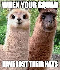 Llama Funny | WHEN YOUR SQUAD; HAVE LOST THEIR HATS | image tagged in llamas with hats | made w/ Imgflip meme maker