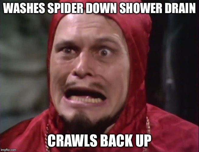 Cardinal Fang | WASHES SPIDER DOWN SHOWER DRAIN; CRAWLS BACK UP | image tagged in cardinal fang | made w/ Imgflip meme maker