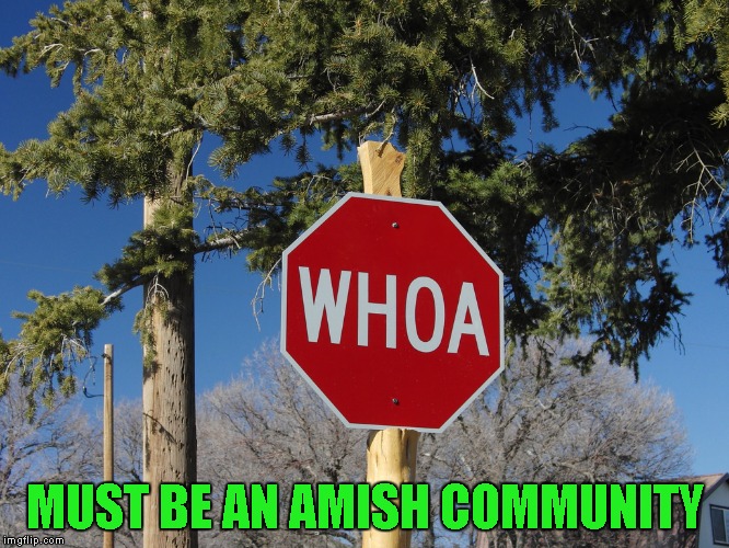 Credit to gizmomeme for giving me the idea for this one. | MUST BE AN AMISH COMMUNITY | image tagged in whoa sign,memes,funny signs,stop,funny,amish | made w/ Imgflip meme maker