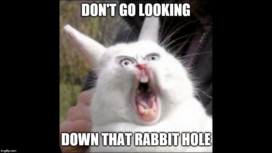 DON'T GO LOOKING DOWN THAT RABBIT HOLE | made w/ Imgflip meme maker