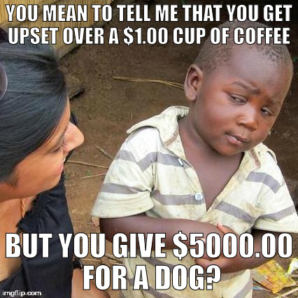 Third World Skeptical Kid Meme | YOU MEAN TO TELL ME THAT YOU GET UPSET OVER A $1.00 CUP OF COFFEE; BUT YOU GIVE $5000.00 FOR A DOG? | image tagged in memes,third world skeptical kid | made w/ Imgflip meme maker