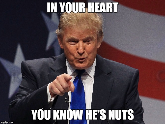 Donald Trump  | IN YOUR HEART; YOU KNOW HE'S NUTS | image tagged in donald trump | made w/ Imgflip meme maker