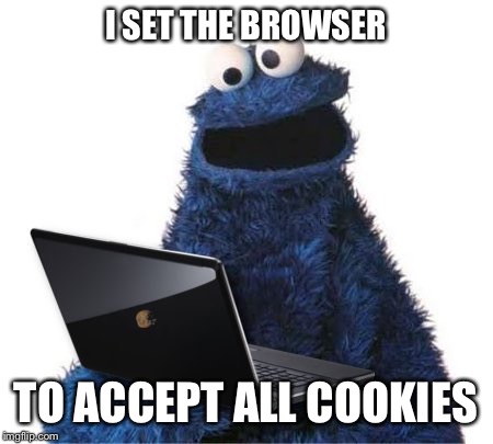 Cookie Monster | I SET THE BROWSER; TO ACCEPT ALL COOKIES | image tagged in cookie monster computer,memes | made w/ Imgflip meme maker