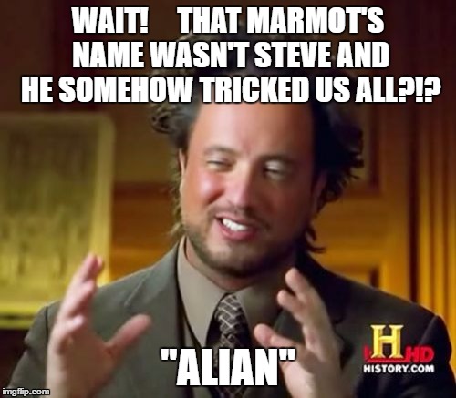 Alan Steve animal conspiracy theory | WAIT!     THAT MARMOT'S NAME WASN'T STEVE AND HE SOMEHOW TRICKED US ALL?!? "ALIAN" | image tagged in ancient aliens,alan steve,talking animals,bbc,marmot,alien guy | made w/ Imgflip meme maker