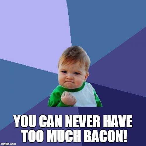 Success Kid Meme | YOU CAN NEVER HAVE TOO MUCH BACON! | image tagged in memes,success kid | made w/ Imgflip meme maker