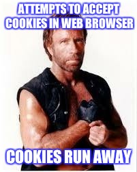 Chuck Norris Flex Meme | ATTEMPTS TO ACCEPT COOKIES IN WEB BROWSER; COOKIES RUN AWAY | image tagged in chuck norris | made w/ Imgflip meme maker