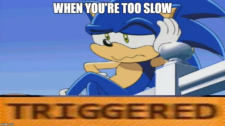 SSB In a Nutshell | WHEN YOU'RE TOO SLOW | image tagged in impatient sonic - sonic x,triggered,too slow,youre too slow sonic,slow,gottagofast | made w/ Imgflip meme maker