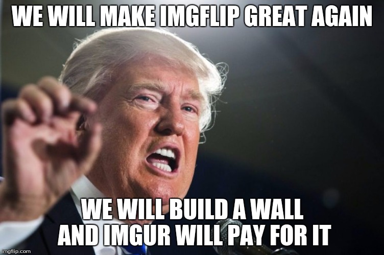 donald trump | WE WILL MAKE IMGFLIP GREAT AGAIN; WE WILL BUILD A WALL AND IMGUR WILL PAY FOR IT | image tagged in donald trump | made w/ Imgflip meme maker