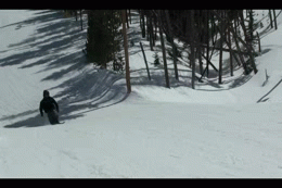 1cpkg.gif
