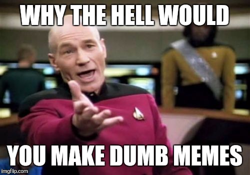 Picard Wtf | WHY THE HELL WOULD; YOU MAKE DUMB MEMES | image tagged in memes,picard wtf | made w/ Imgflip meme maker