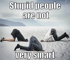 ostrich head in sand | Stupid people are not; very smart | image tagged in ostrich head in sand | made w/ Imgflip meme maker
