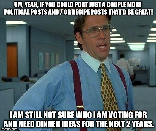 That Would Be Great | UM, YEAH, IF YOU COULD POST JUST A COUPLE MORE POLITICAL POSTS AND / OR RECIPE POSTS THAT'D BE GREAT! I AM STILL NOT SURE WHO I AM VOTING FOR AND NEED DINNER IDEAS FOR THE NEXT 2 YEARS. | image tagged in memes,that would be great | made w/ Imgflip meme maker