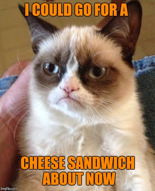 Grumpy Cat Meme | I COULD GO FOR A CHEESE SANDWICH ABOUT NOW | image tagged in memes,grumpy cat | made w/ Imgflip meme maker