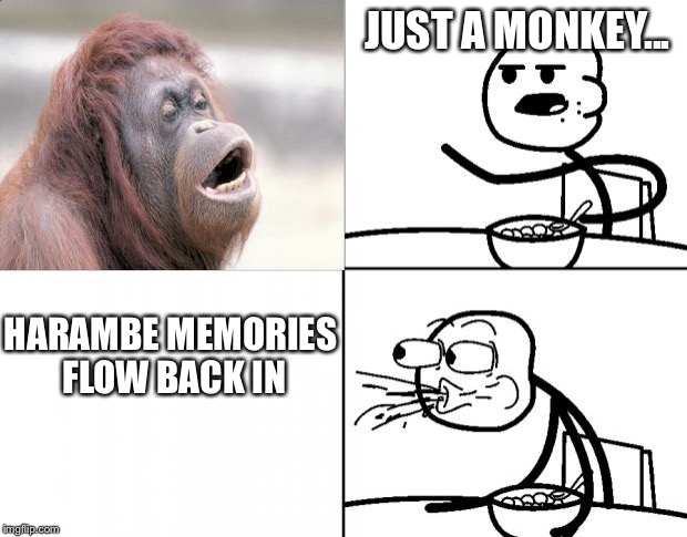 Blank Cereal Guy | JUST A MONKEY... HARAMBE MEMORIES FLOW BACK IN | image tagged in blank cereal guy | made w/ Imgflip meme maker