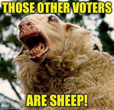 THOSE OTHER VOTERS; ARE SHEEP! | image tagged in sheeple | made w/ Imgflip meme maker