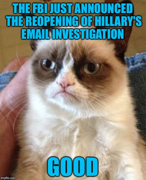 With 11 days left before the election, will the mainstream media cover this??? | THE FBI JUST ANNOUNCED THE REOPENING OF HILLARY'S EMAIL INVESTIGATION; GOOD | image tagged in memes,grumpy cat,hillary,fbi,email scandal,biased media | made w/ Imgflip meme maker