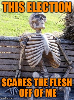 Waiting Skeleton Meme | THIS ELECTION; SCARES THE FLESH OFF OF ME | image tagged in memes,waiting skeleton | made w/ Imgflip meme maker