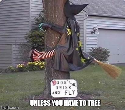 She got wood | UNLESS YOU HAVE TO TREE | image tagged in memes,witch,fail,funny,halloween | made w/ Imgflip meme maker