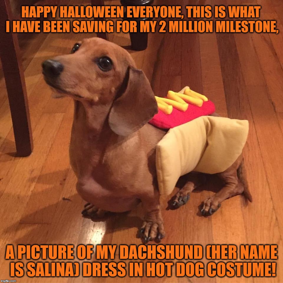 Happy Halloween Everyone, Hope You Are Safe And Extremely Spooky Tonight. | HAPPY HALLOWEEN EVERYONE, THIS IS WHAT I HAVE BEEN SAVING FOR MY 2 MILLION MILESTONE, A PICTURE OF MY DACHSHUND (HER NAME IS SALINA) DRESS IN HOT DOG COSTUME! | image tagged in memes,halloween,dachshund,hot dog,funny,dogs | made w/ Imgflip meme maker
