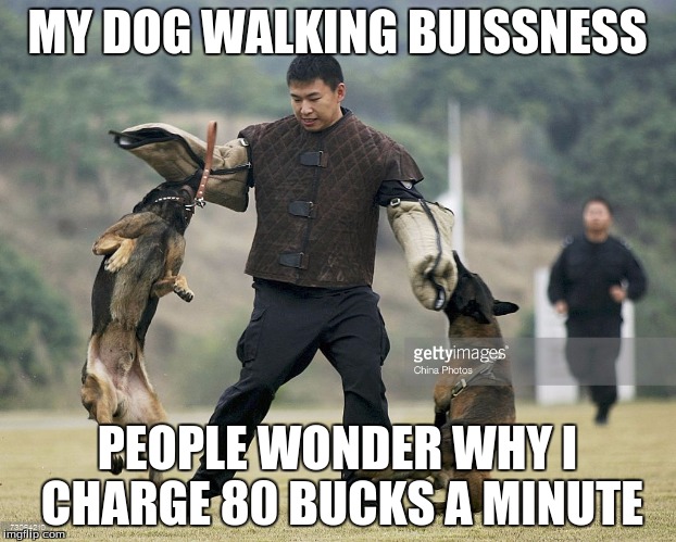 Summer jobs | MY DOG WALKING BUISSNESS; PEOPLE WONDER WHY I CHARGE 80 BUCKS A MINUTE | image tagged in dog walking | made w/ Imgflip meme maker