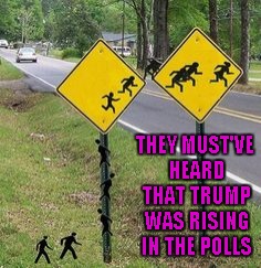 I wonder if they're coming or going? | THEY MUST'VE HEARD THAT TRUMP WAS RISING IN THE POLLS | image tagged in immigrants crossing,memes,immigrants,funny sign,funny,trump | made w/ Imgflip meme maker