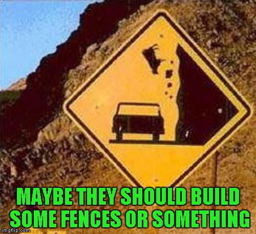 Save the cows!!! | MAYBE THEY SHOULD BUILD SOME FENCES OR SOMETHING | image tagged in falling cows,memes,funny signs,signs,funny | made w/ Imgflip meme maker