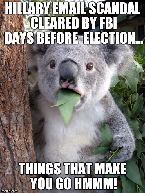 Things that make you go hmmm | HILLARY EMAIL SCANDAL CLEARED BY FBI DAYS BEFORE 
ELECTION... THINGS THAT MAKE YOU GO HMMM! | image tagged in memes,surprised koala | made w/ Imgflip meme maker