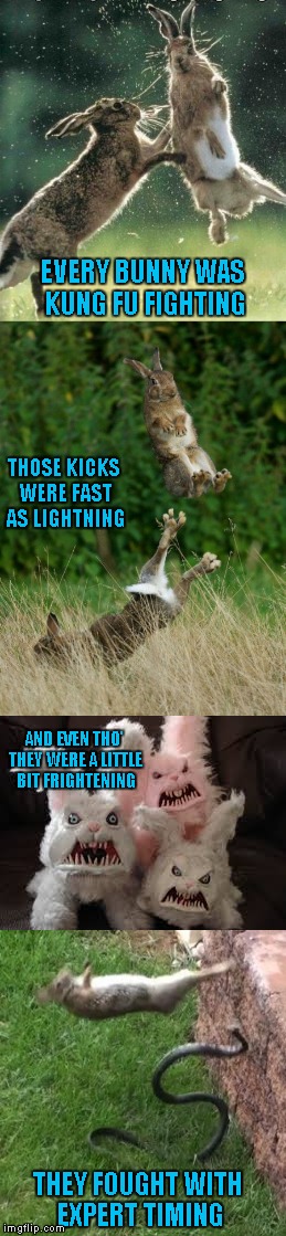 I had this song stuck in my head so now you get to as well...LOL | EVERY BUNNY WAS KUNG FU FIGHTING; THOSE KICKS WERE FAST AS LIGHTNING; AND EVEN THO' THEY WERE A LITTLE BIT FRIGHTENING; THEY FOUGHT WITH EXPERT TIMING | image tagged in kung fu fighting,memes,funny animals,animals,funny,rabbits | made w/ Imgflip meme maker