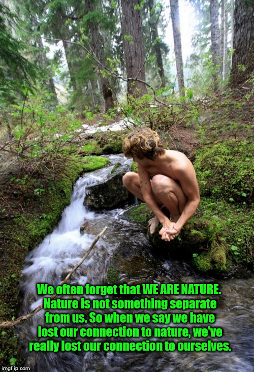 We often forget that WE ARE NATURE. Nature is not something separate from us. So when we say we have lost our connection to nature, we've really lost our connection to ourselves. | image tagged in mother nature | made w/ Imgflip meme maker