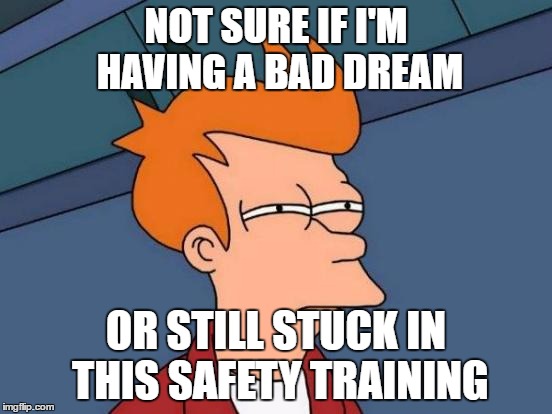 NOT SURE IF I'M HAVING A BAD DREAM OR STILL STUCK IN THIS SAFETY TRAINING | image tagged in memes,futurama fry | made w/ Imgflip meme maker