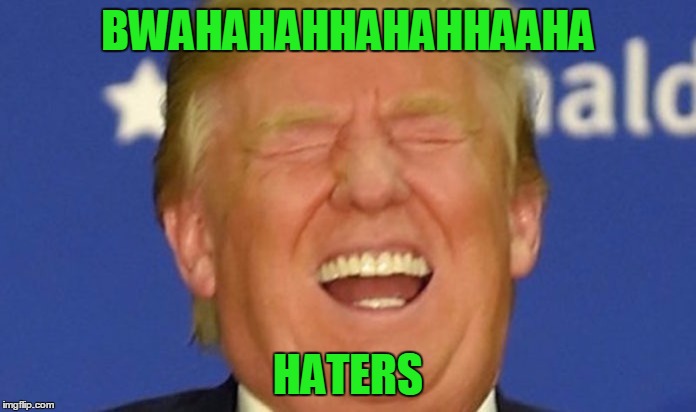 Trump laughing | BWAHAHAHHAHAHHAAHA; HATERS | image tagged in trump laughing,donald trump,hillary clinton,DWAC_Stock | made w/ Imgflip meme maker