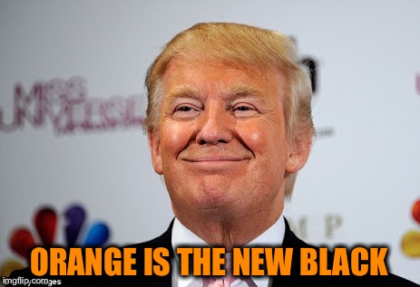 Trump replacing Obama? This one is funny no matter what side you're on  | ORANGE IS THE NEW BLACK | image tagged in donald trump approves,hillary clinton,election 2016 | made w/ Imgflip meme maker