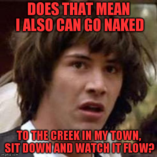 Conspiracy Keanu Meme | DOES THAT MEAN I ALSO CAN GO NAKED TO THE CREEK IN MY TOWN, SIT DOWN AND WATCH IT FLOW? | image tagged in memes,conspiracy keanu | made w/ Imgflip meme maker