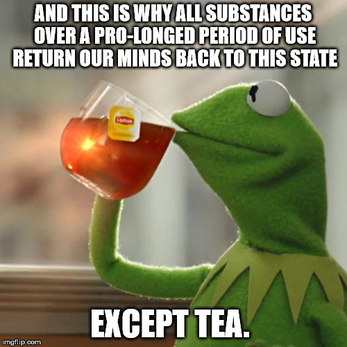 But That's None Of My Business Meme | AND THIS IS WHY ALL SUBSTANCES OVER A PRO-LONGED PERIOD OF USE RETURN OUR MINDS BACK TO THIS STATE EXCEPT TEA. | image tagged in memes,but thats none of my business,kermit the frog | made w/ Imgflip meme maker