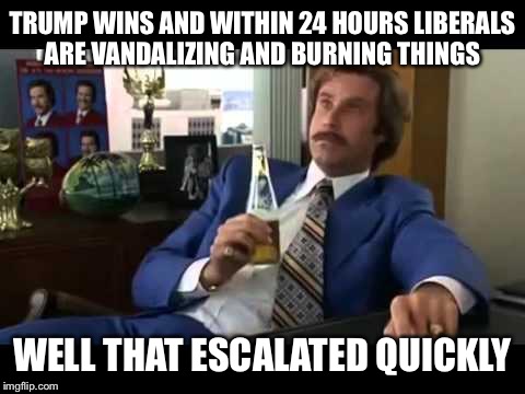 Well That Escalated Quickly Meme | TRUMP WINS AND WITHIN 24 HOURS LIBERALS ARE VANDALIZING AND BURNING THINGS; WELL THAT ESCALATED QUICKLY | image tagged in memes,well that escalated quickly | made w/ Imgflip meme maker