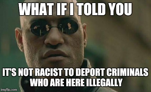 Matrix Morpheus | WHAT IF I TOLD YOU; IT'S NOT RACIST TO DEPORT CRIMINALS WHO ARE HERE ILLEGALLY | image tagged in memes,matrix morpheus | made w/ Imgflip meme maker