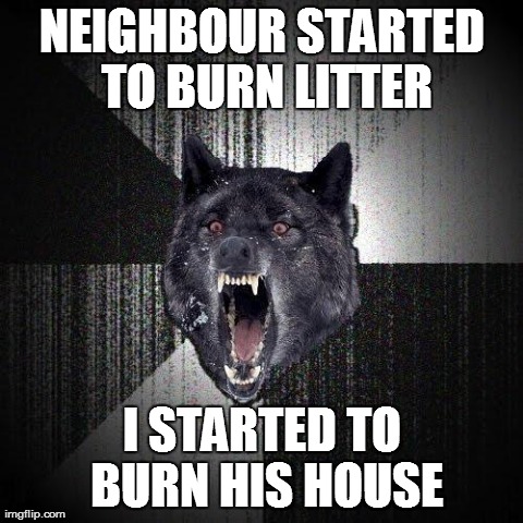 Insanity Wolf Meme | NEIGHBOUR STARTED TO BURN LITTER I STARTED TO BURN HIS HOUSE | image tagged in memes,insanity wolf | made w/ Imgflip meme maker