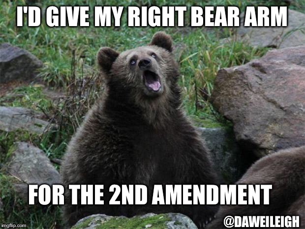 Sarcastic Bear | I'D GIVE MY RIGHT BEAR ARM; FOR THE 2ND AMENDMENT; @DAWEILEIGH | image tagged in sarcastic bear | made w/ Imgflip meme maker