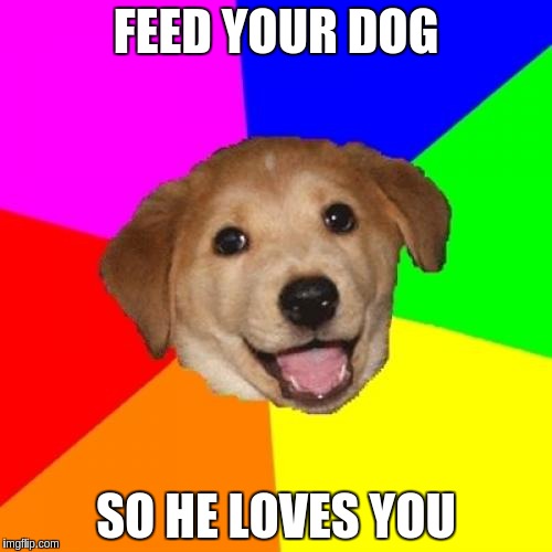 Advice Dog | FEED YOUR DOG; SO HE LOVES YOU | image tagged in memes,advice dog | made w/ Imgflip meme maker