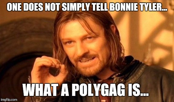 Polygag | ONE DOES NOT SIMPLY TELL BONNIE TYLER... WHAT A POLYGAG IS... | image tagged in memes,one does not simply,polygag,bonnie tyler,rock and roll | made w/ Imgflip meme maker