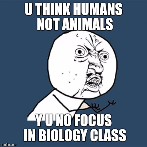 U THINK HUMANS NOT ANIMALS Y U NO FOCUS IN BIOLOGY CLASS | image tagged in memes,y u no | made w/ Imgflip meme maker