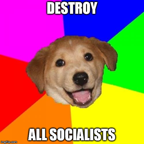 Advice Dog | DESTROY; ALL SOCIALISTS | image tagged in memes,advice dog | made w/ Imgflip meme maker