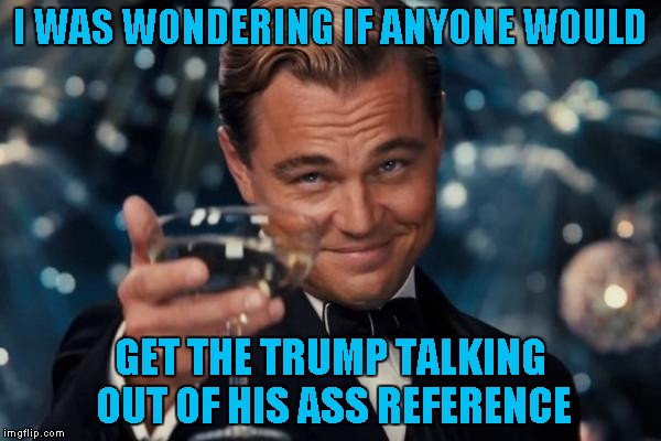 Leonardo Dicaprio Cheers Meme | I WAS WONDERING IF ANYONE WOULD GET THE TRUMP TALKING OUT OF HIS ASS REFERENCE | image tagged in memes,leonardo dicaprio cheers | made w/ Imgflip meme maker