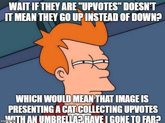 WAIT IF THEY ARE "UPVOTES" DOESN'T IT MEAN THEY GO UP INSTEAD OF DOWN? WHICH WOULD MEAN THAT IMAGE IS PRESENTING A CAT COLLECTING UPVOTES WI | image tagged in memes,futurama fry | made w/ Imgflip meme maker
