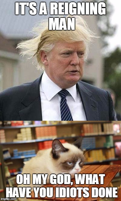 IT'S A REIGNING MAN; OH MY GOD, WHAT HAVE YOU IDIOTS DONE | image tagged in memes,grumpy cat,trump,song lyrics,grumpy cat table,donald trumph hair | made w/ Imgflip meme maker