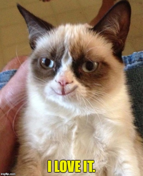 Happy grumpy cat | I LOVE IT. | image tagged in happy grumpy cat | made w/ Imgflip meme maker