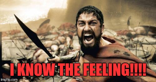 I KNOW THE FEELING!!!! | image tagged in memes,sparta leonidas | made w/ Imgflip meme maker