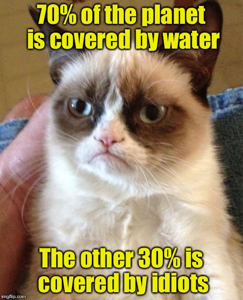 Grumpy Cat | 70% of the planet is covered by water; The other 30% is covered by idiots | image tagged in memes,grumpy cat | made w/ Imgflip meme maker