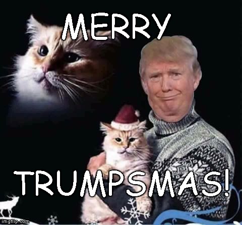 Merry Trumpsmas | MERRY; TRUMPSMAS! | image tagged in donald trump,christmas,cat,santa | made w/ Imgflip meme maker